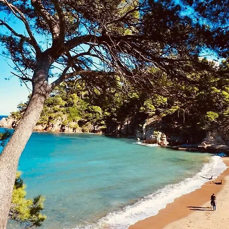 Autentica Casa Del Sxvii En La Costa Brava Feriehus
